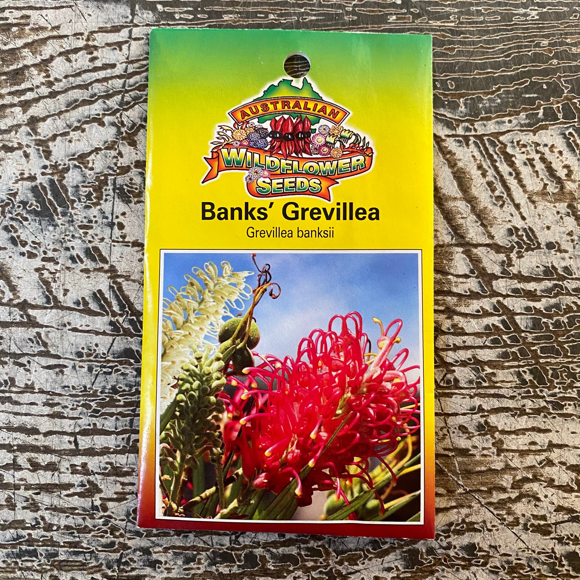 Australian Wildflower Banks Grevillea seed packet on white background