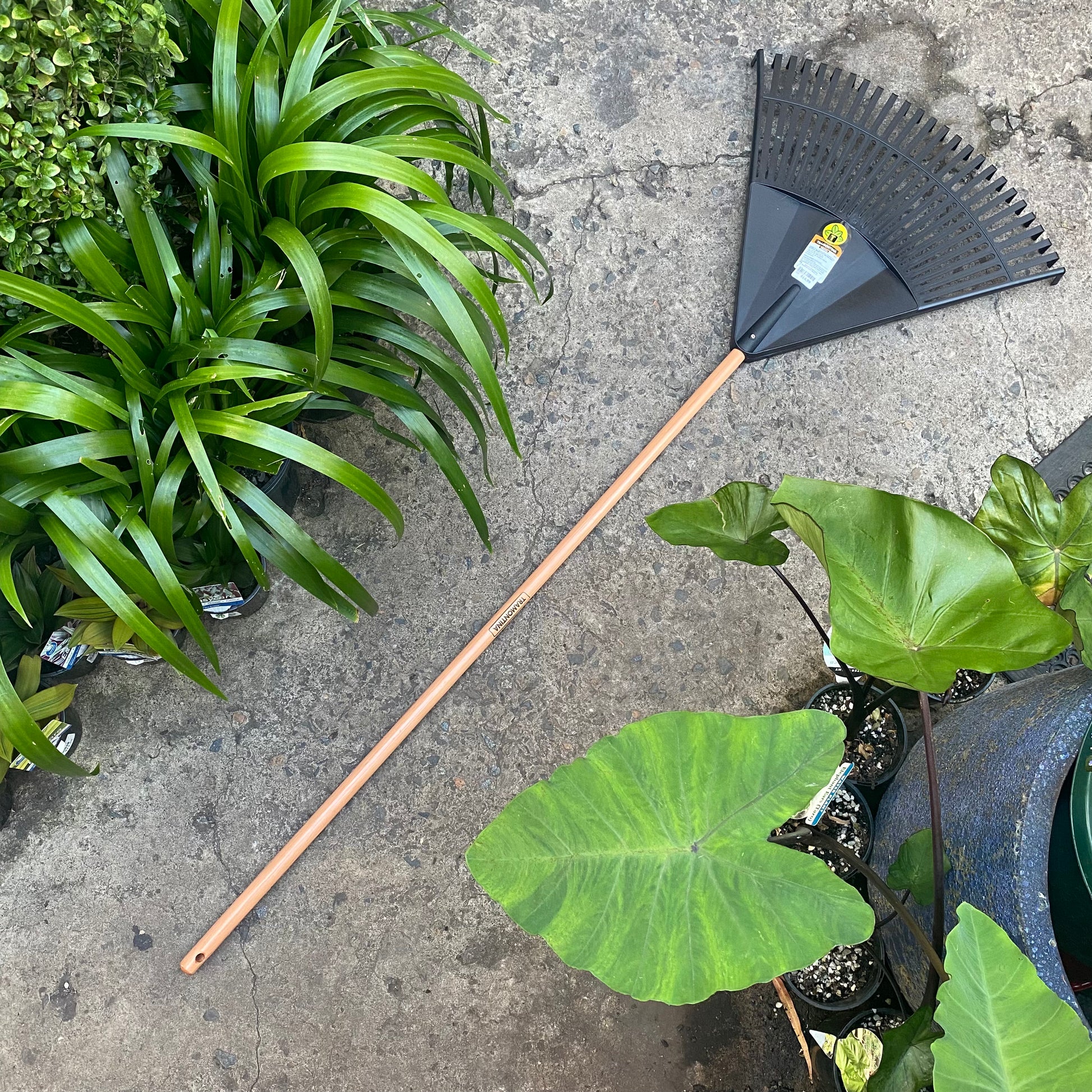 Plastic Leaf Rake 17 front view