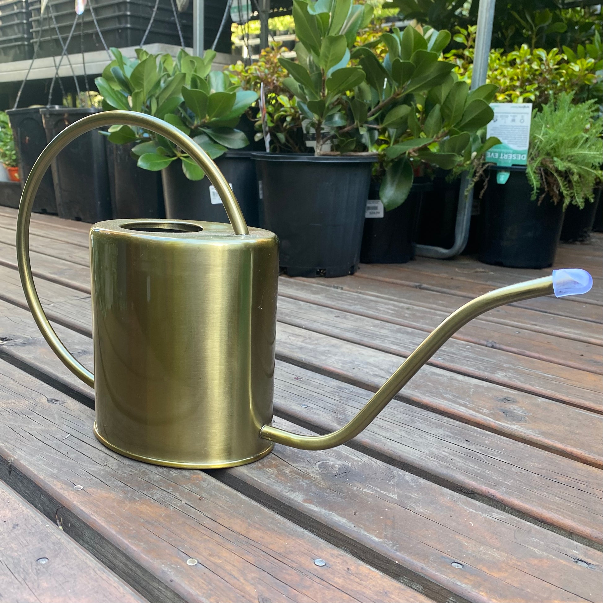 Ryset 1.5l Antique Brass Watering Can available at Newtown Garden Market