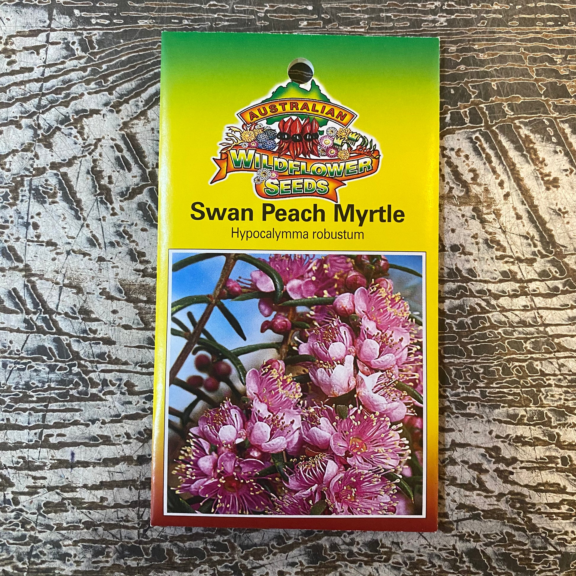 Australian Wildflower Swan Peach Myrtle seed packet on white background