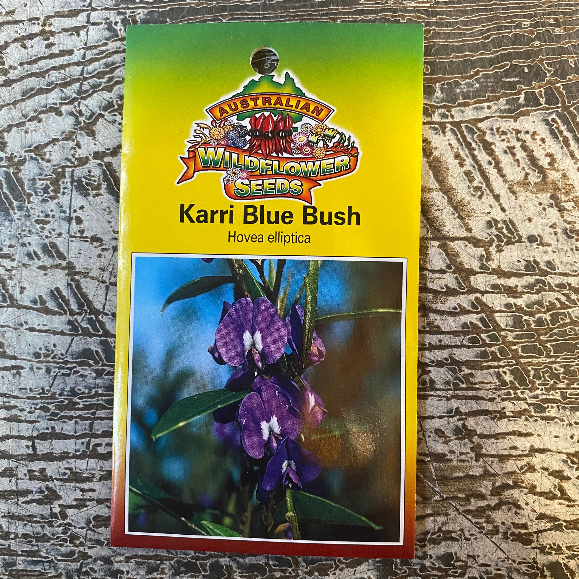 Australian Wildflower Karri Blue Bush seed packet front on white background