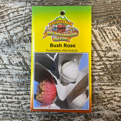 AUST WILDFLOWER SEED bush rose
