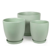 Tulip Pot with Saucer 26cm on white background