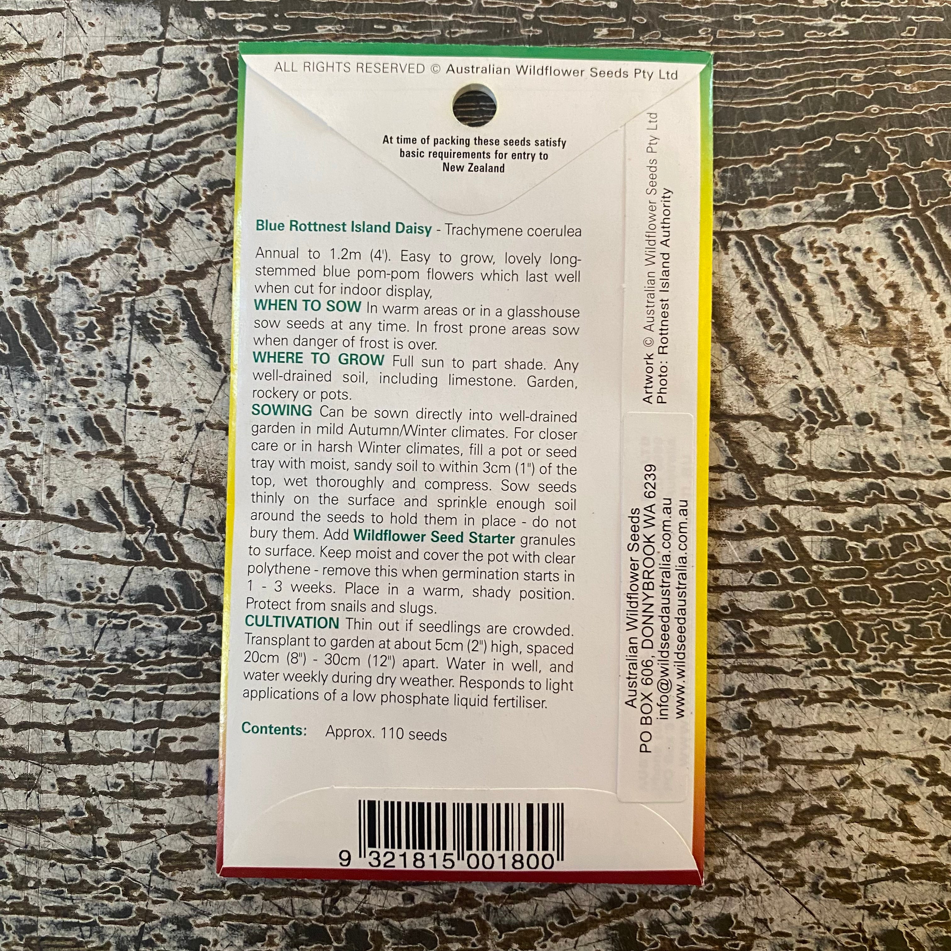 AUST WILDFLOWER SEED blue rottnest island daisy
