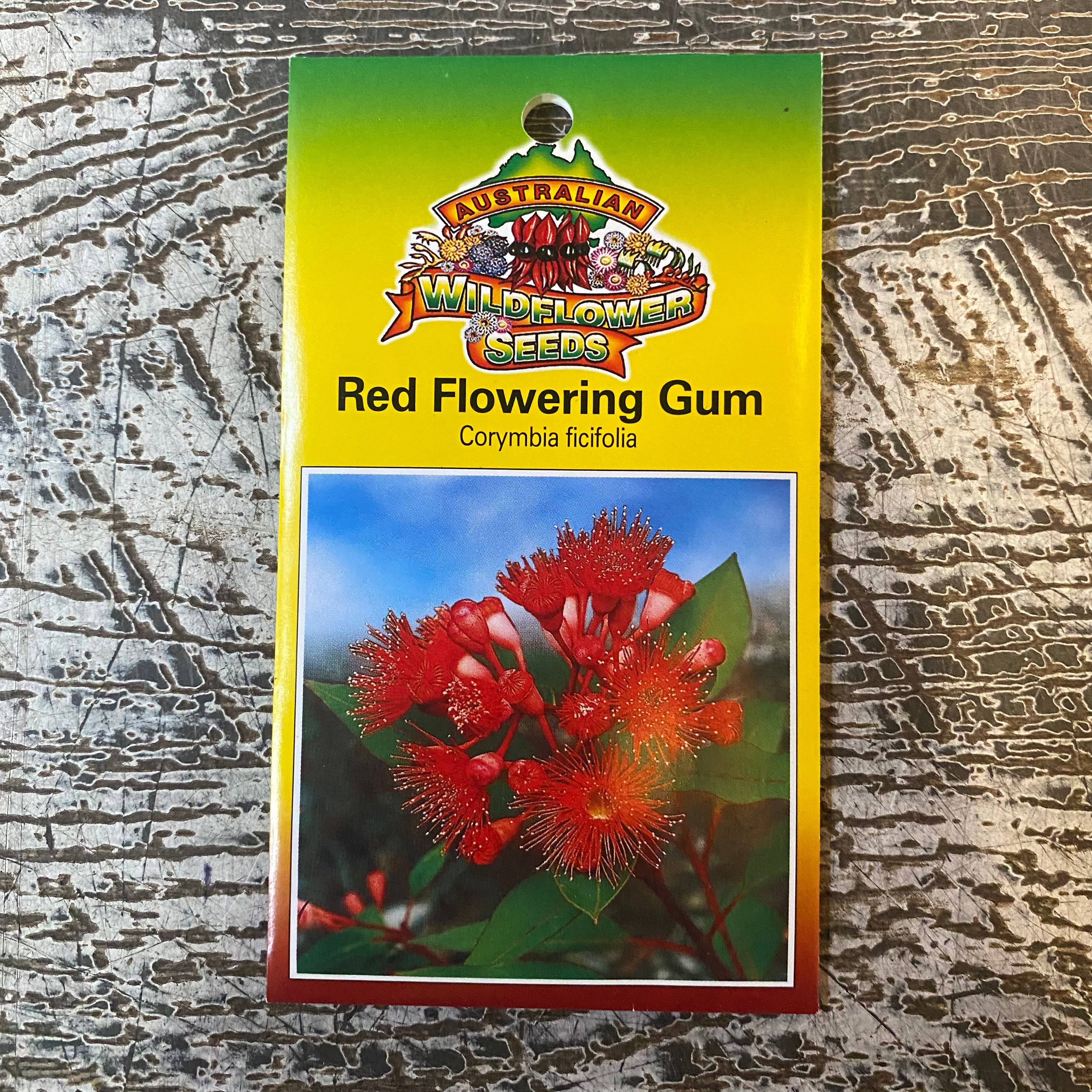 Australian Wildflower Red Flowering Gum seed packet on white background