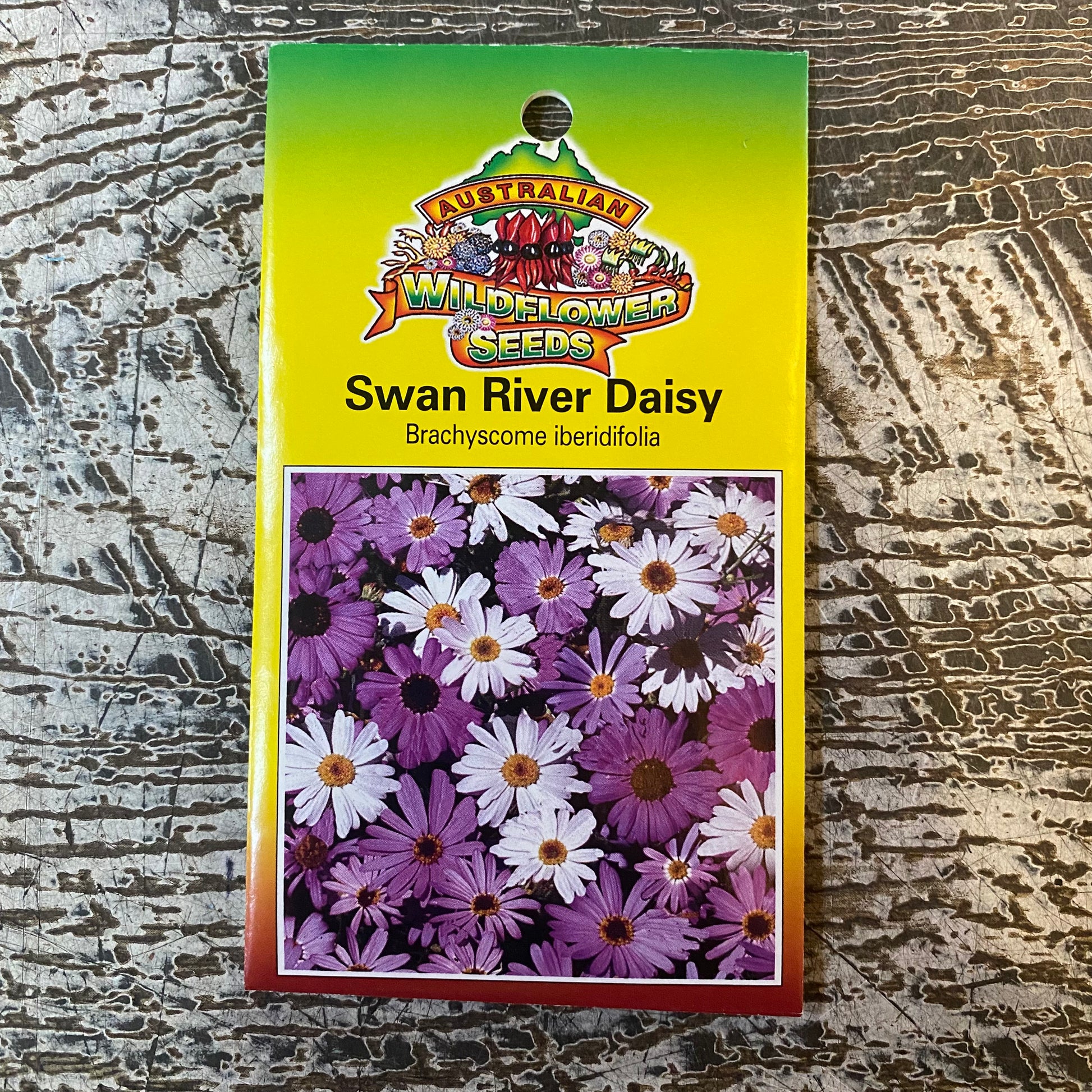 Australian Wildflower Swan River Daisy seed packet on white background