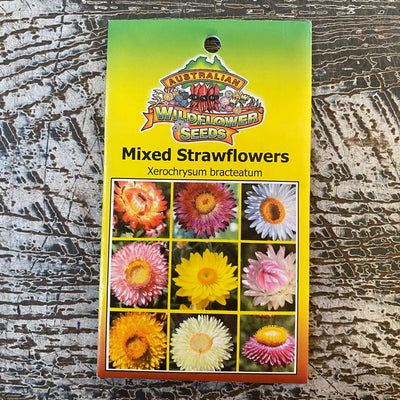 AUST WILDFLOWER SEED mixed strawflowers