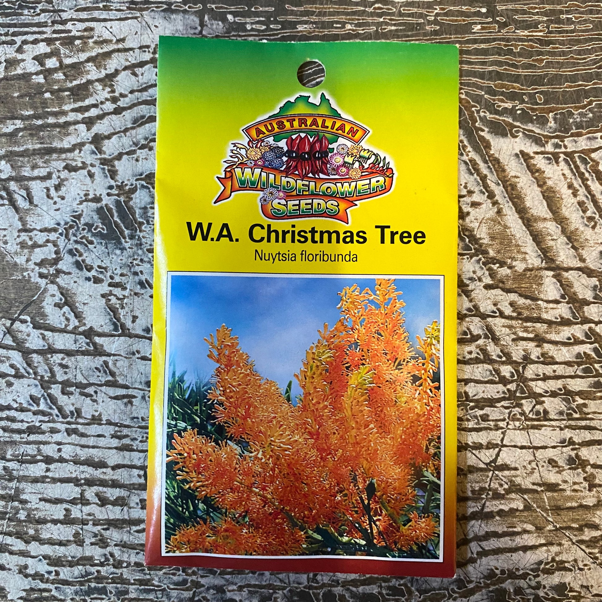 Australian Wildflower WA Christmas Tree seed packet on white background