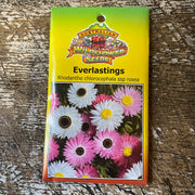 Australian Wildflower Everlastings seed packet on white background