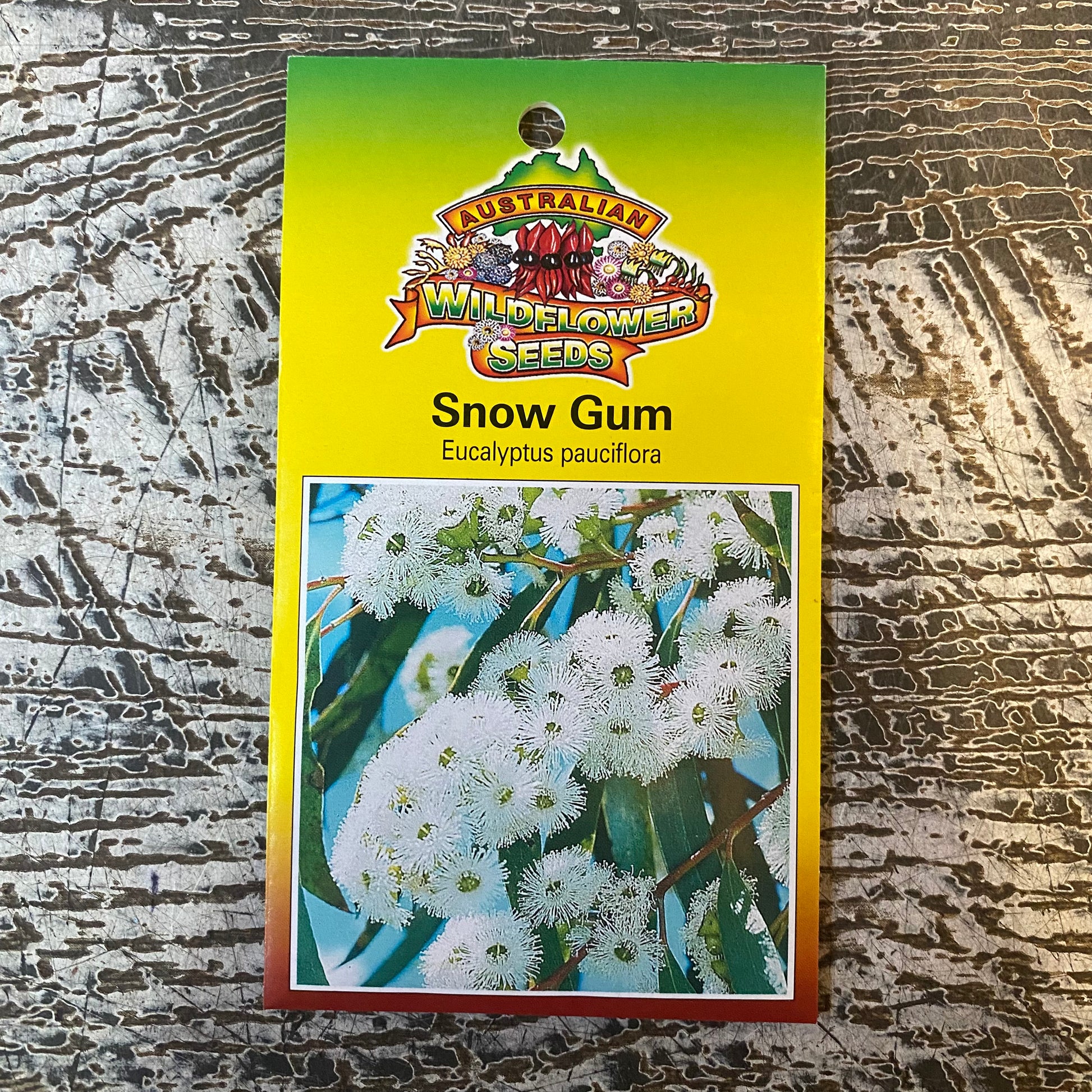 Australian Wildflower Snow Gum seed packet on white background