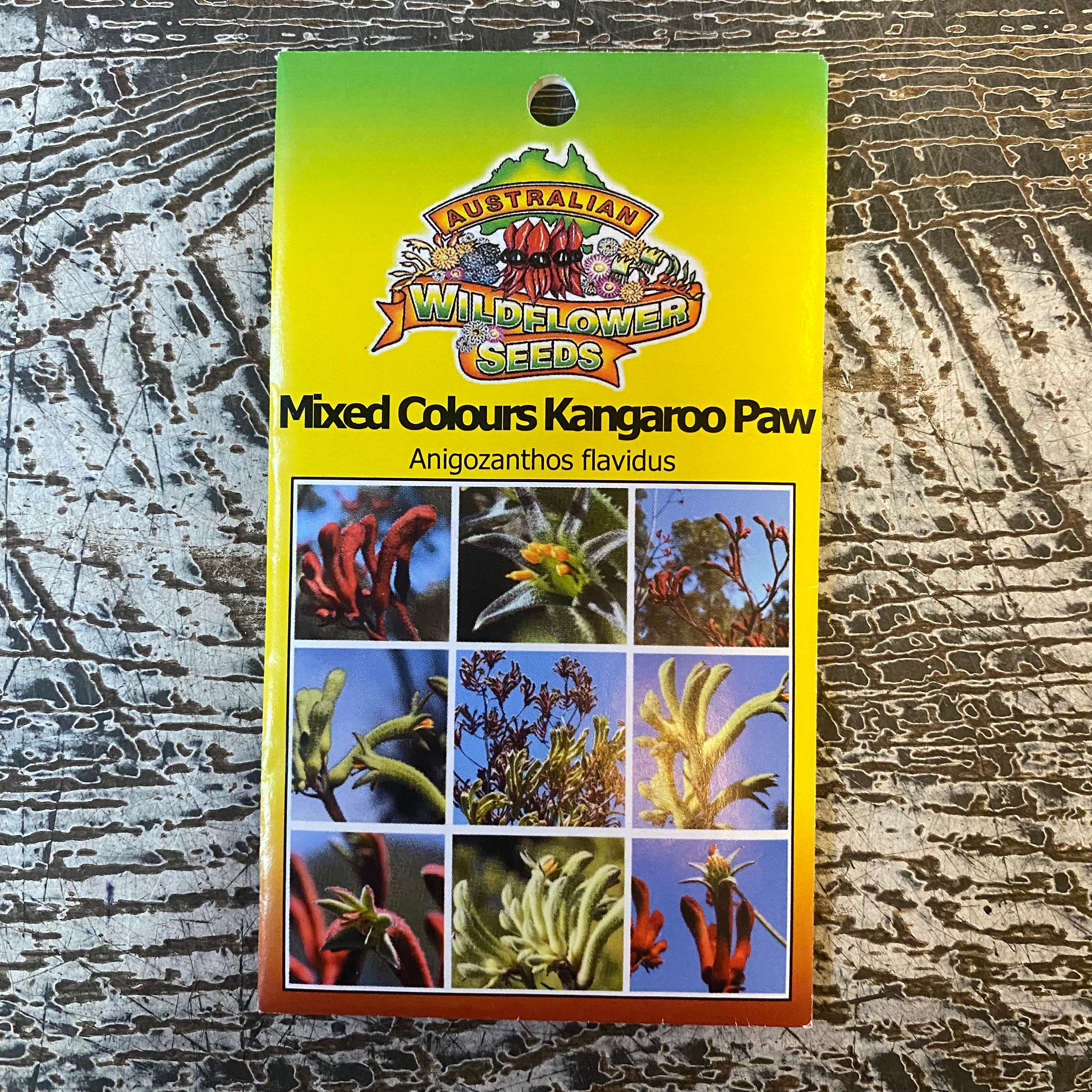 AUST WILDFLOWER SEED mixed colours kangaroo paw