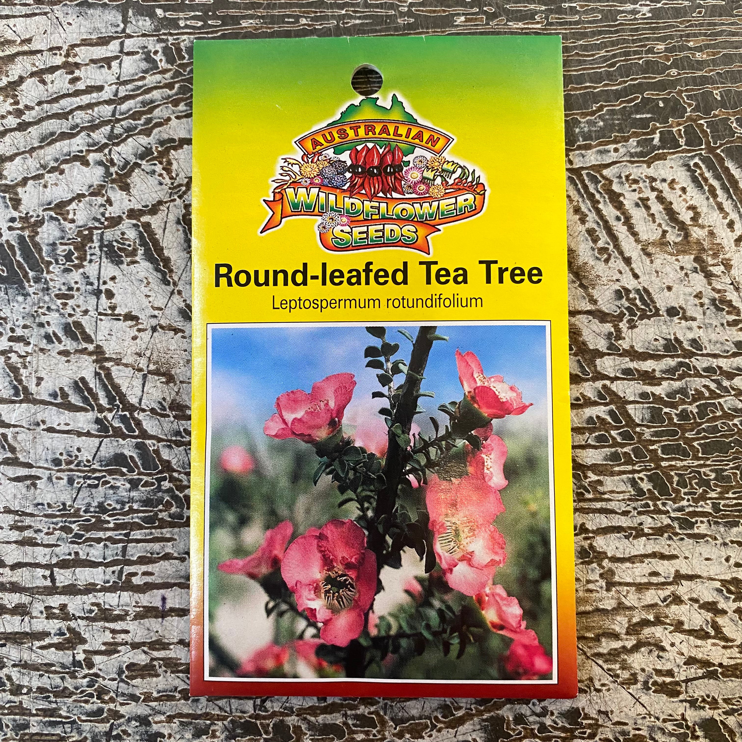 Australian Wildflower Round-Leafed Tea Tree seed packet on white background