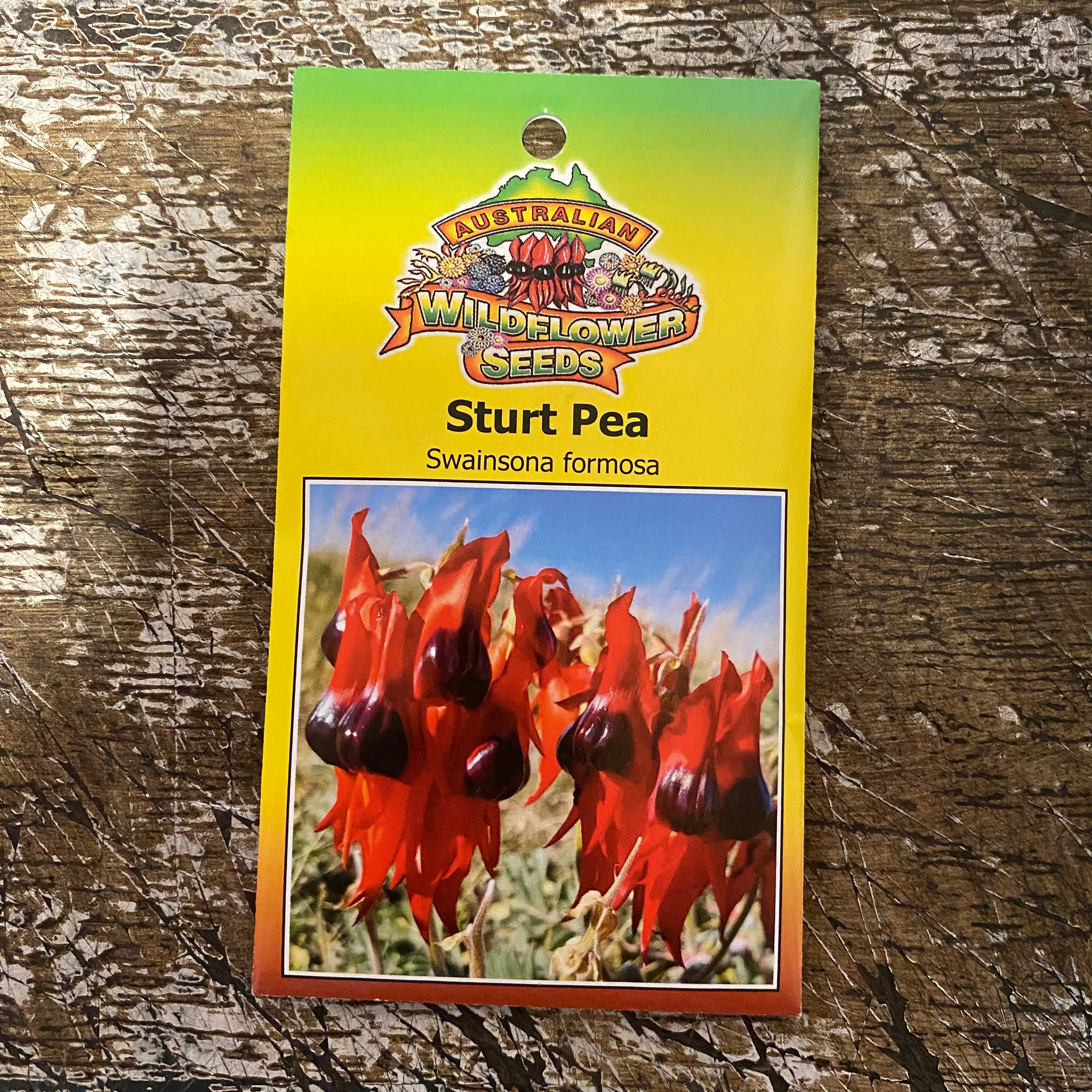 Australian Wildflower Sturt Pea seed packet on white background