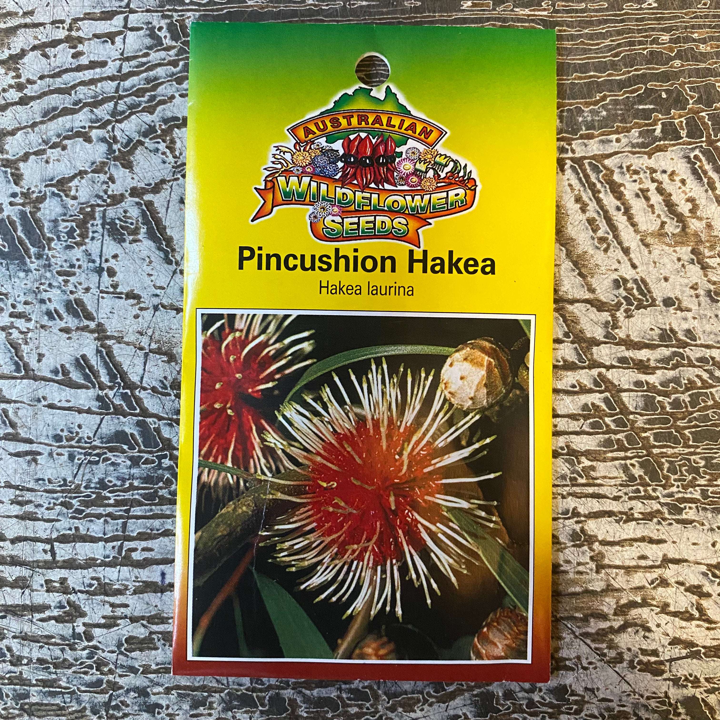 Australian Wildflower Pincushion Hakea seed packet on white background