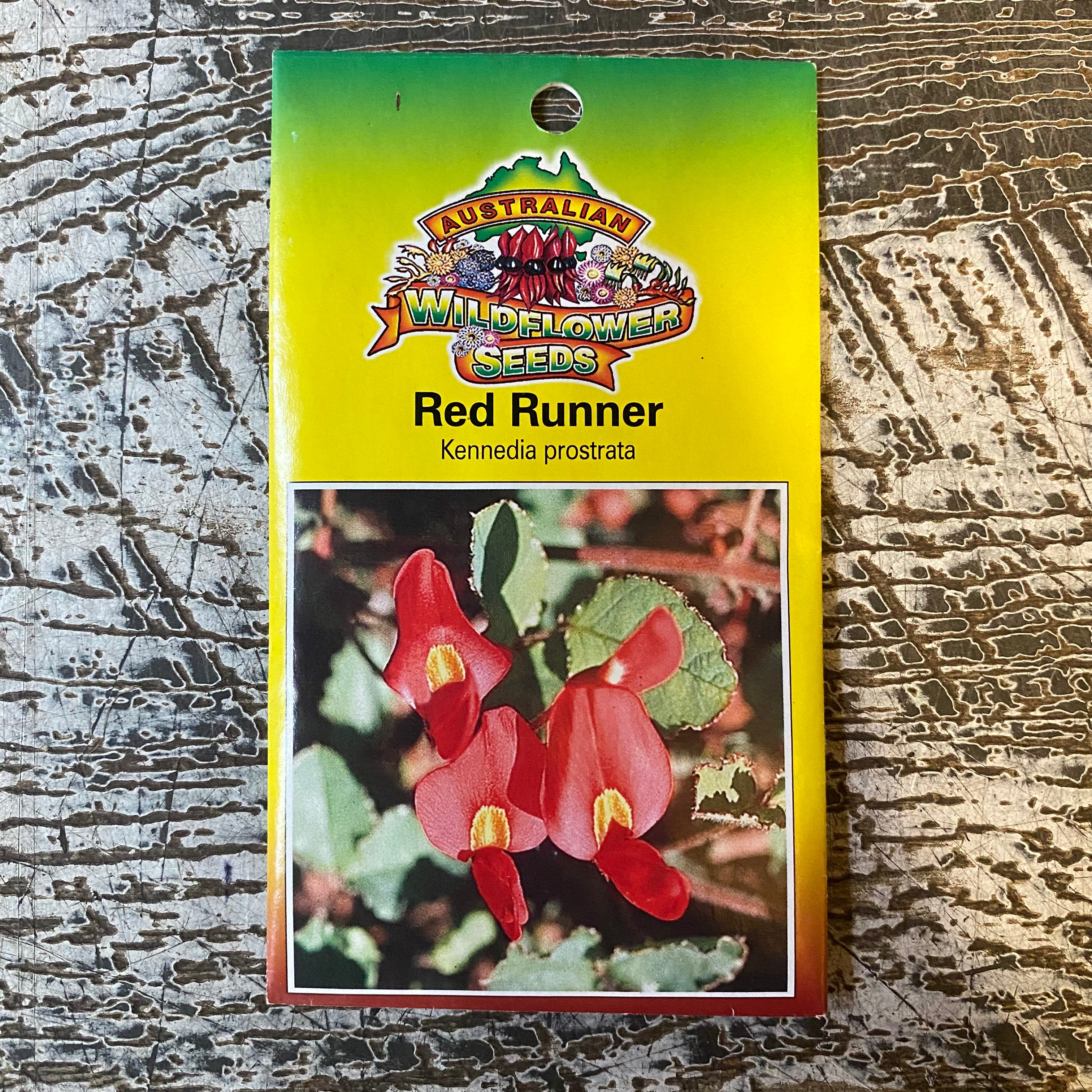 Australian Wildflower Red Runner seed packet on white background