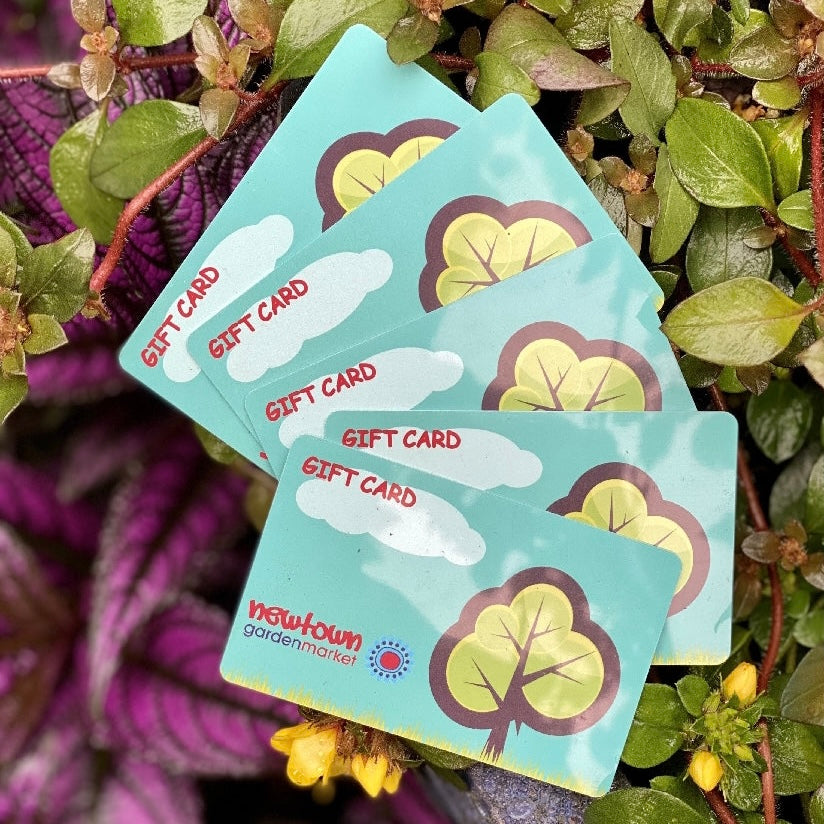 Newtown Garden Market Gift Voucher