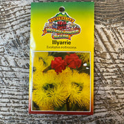 Australian Wildflower Illyarrie seed packet on white background