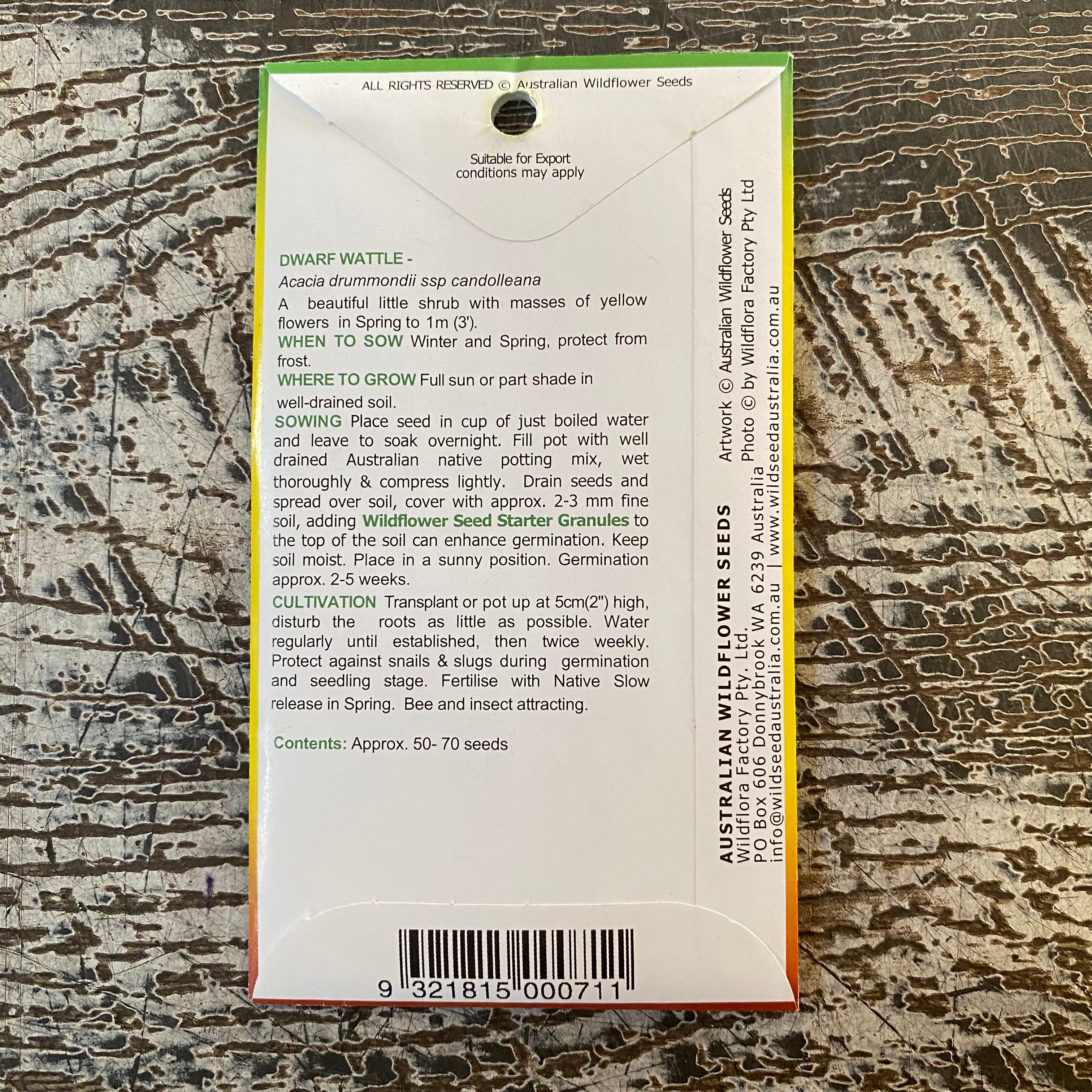 AUST WILDFLOWER SEED dwarf wattle