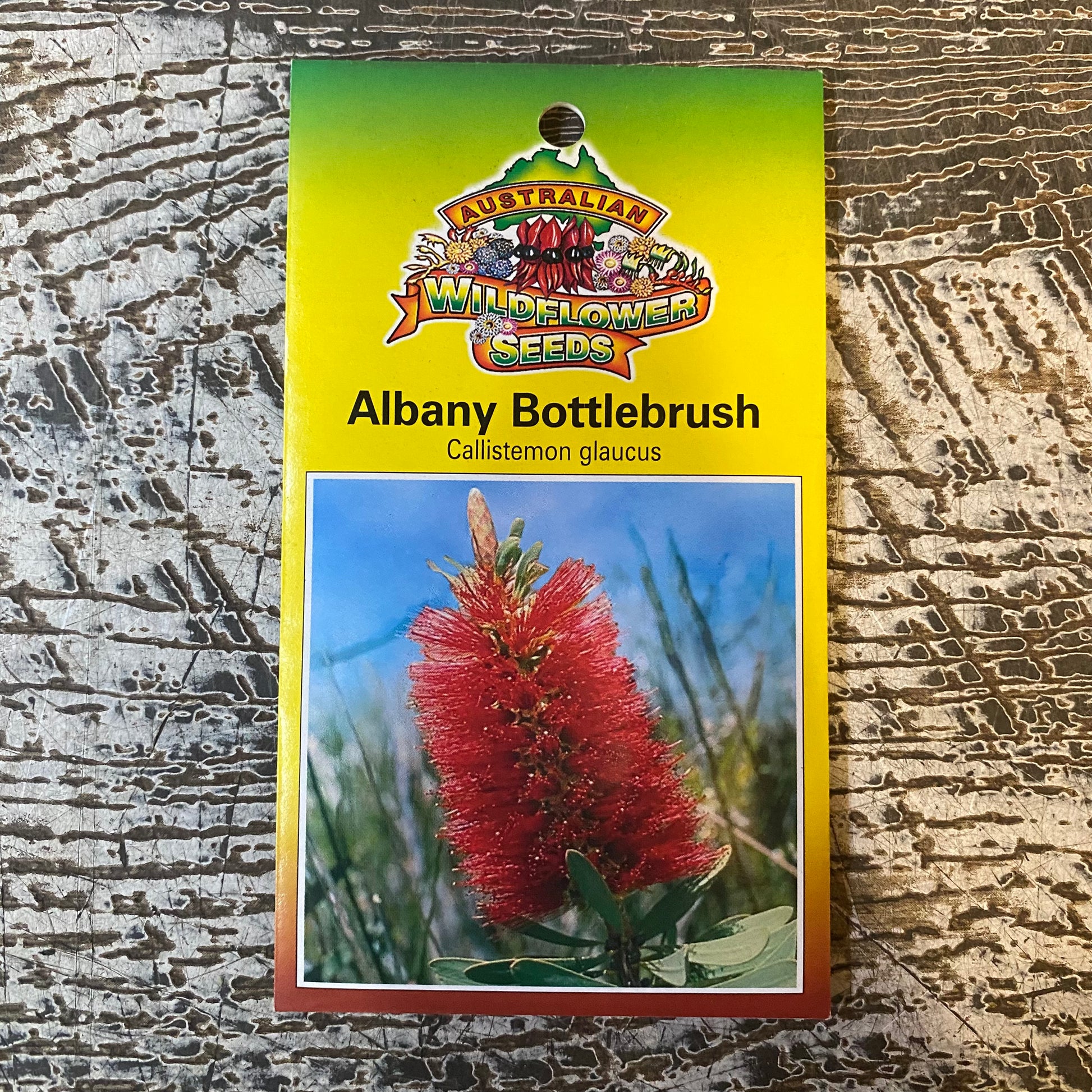 Australian Wildflower Albany Bottlebrush seed packet on white background
