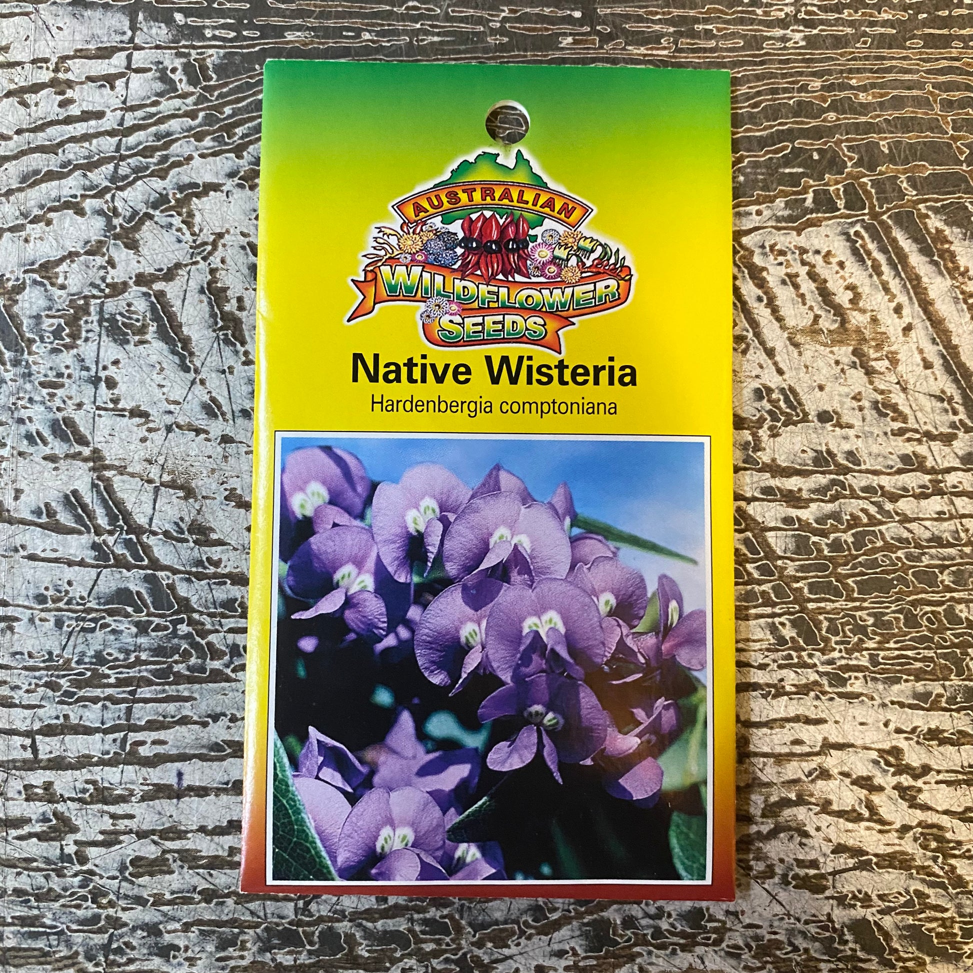 Australian Wildflower Native Wisteria seed packet on white background