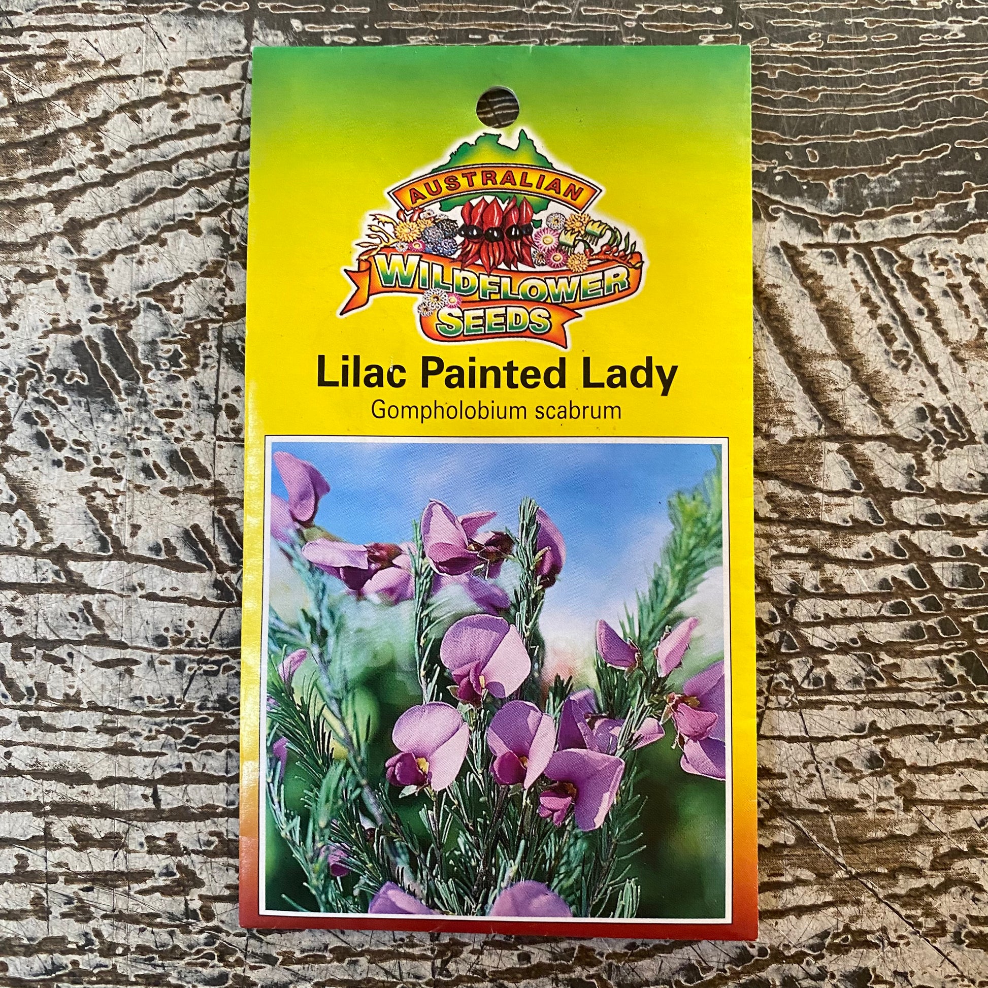 Australian Wildflower Lilac Painted Lady seed packet on white background