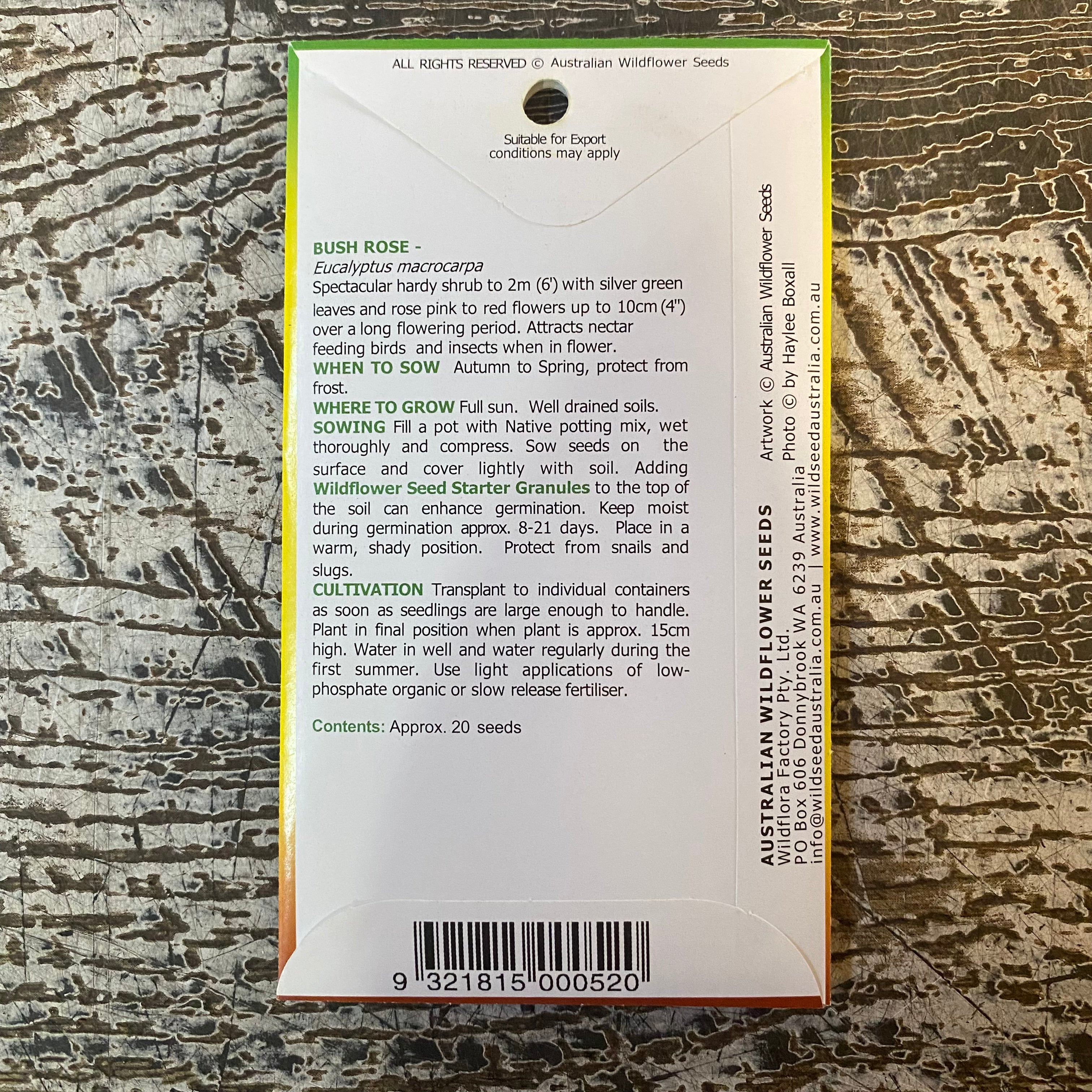 AUST WILDFLOWER SEED bush rose